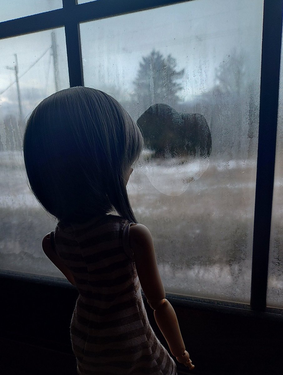 高島市内の微妙な雪景色、今夜からの大雪予報を伝える現地様子