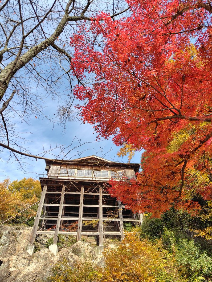 紅葉に包まれた岩屋善光堂（米原市）の山間風景。ビューロー賞②受賞作「岩屋善光堂と紅葉」として紹介されたビジュアル。
