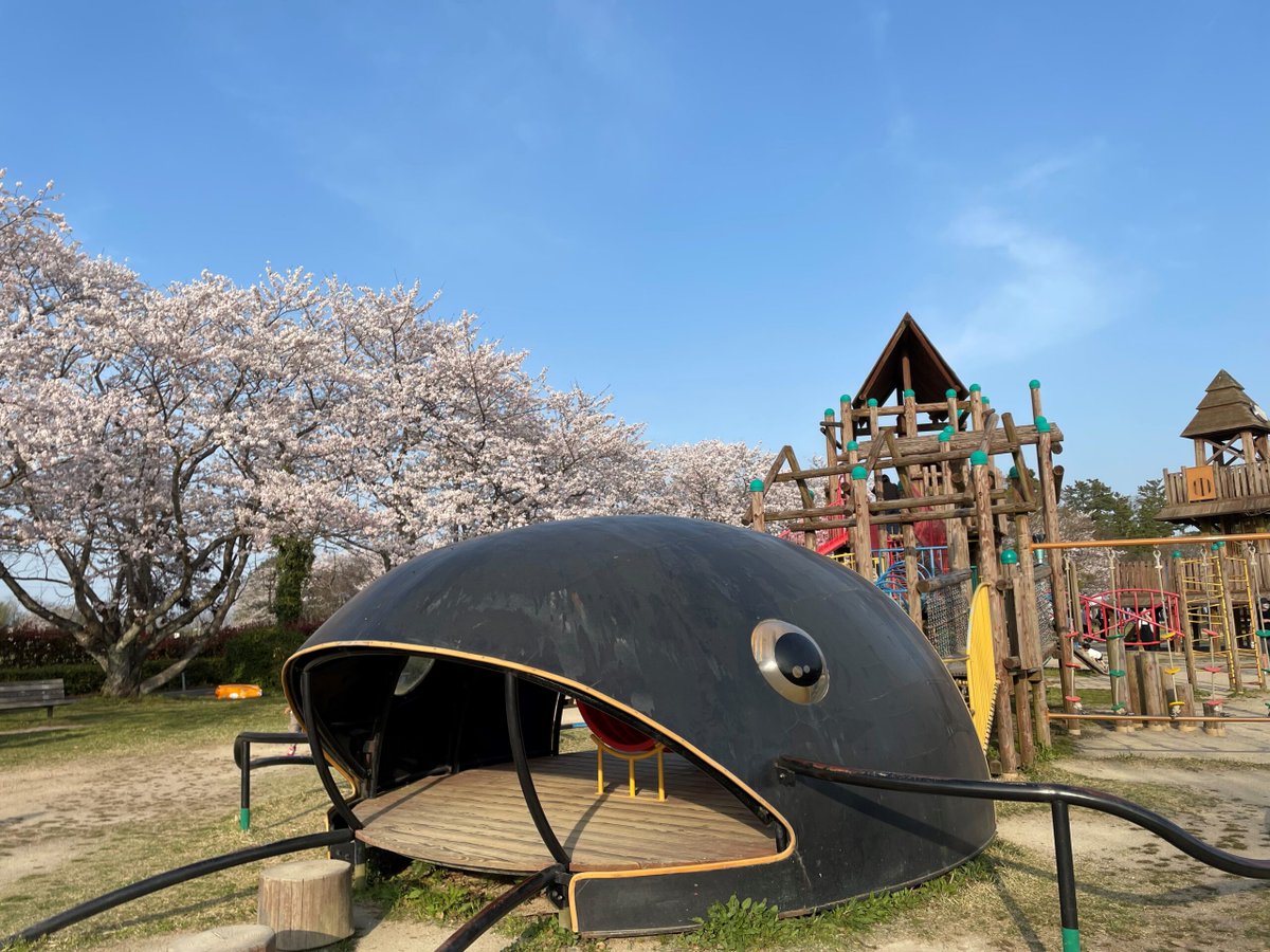 満開の桜の下、大型遊具や青空、家族連れの遊戯を想起させる園内の様子。春のびわ湖こどもの国の雰囲気を表す掲載写真。