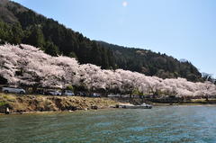 高島市・海津大崎周辺の桜の風景を表す公式観光フォトのサムネイル。琵琶湖湖畔の景観資源を象徴し、空き家活用に伴う地域づくりの文脈のイメージ用。