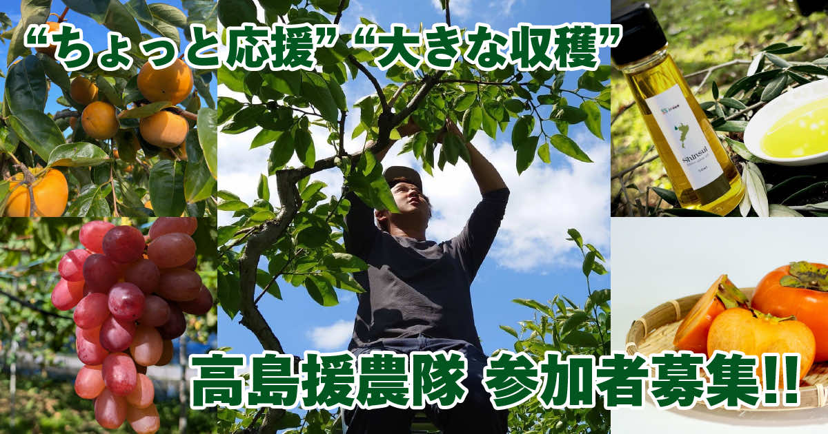 高島援農隊2026年度募集の告知用OGP。果樹栽培体験プログラムの紹介ビジュアル。