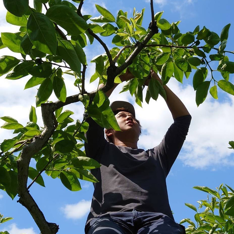 高島援農隊公式サイト掲出のメインビジュアル。湖西の果樹・体験イメージ。