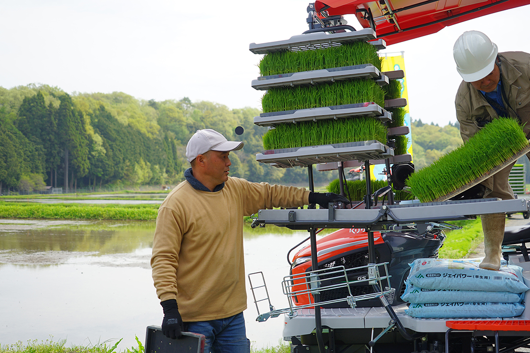 ハナエチゼンの田植えの第三カット。水田と周辺の地形が写る。