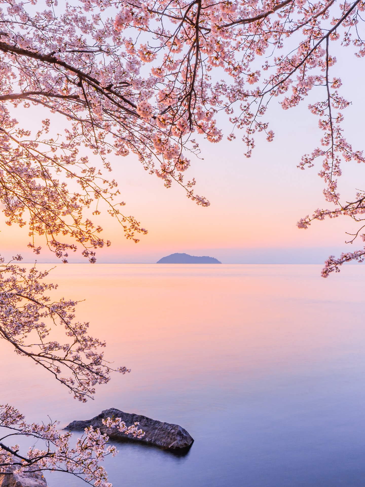 琵琶湖岸・高島市域の春の風景を伝える地域メディアの投稿画像。湖岸道路と観光需要が重なる湖北エリアのイメージを補助する。