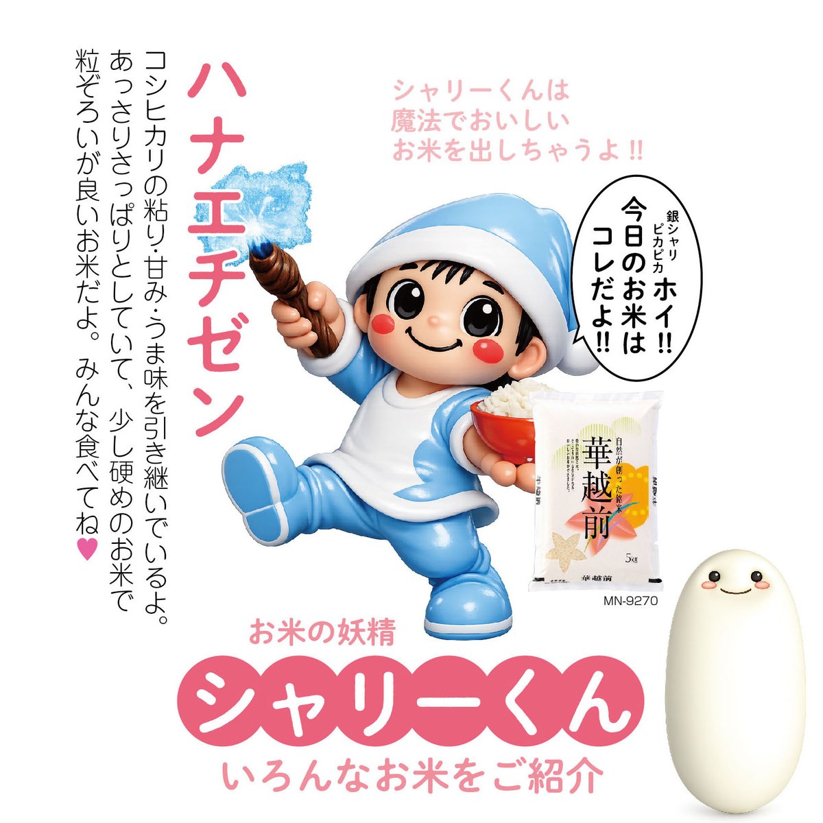 極早生品種ハナエチゼン向けの米の粒のイメージ。企業SNSの紹介用ビジュアル。本件の田植え現場の実写ではない。