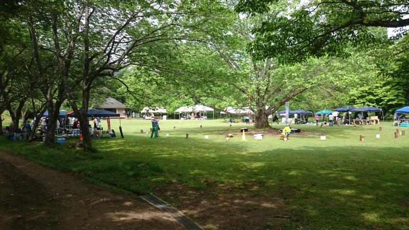 2026年5月17日に高島市朽木エリアの森林公園くつきの森・ユリノキ広場で開催予定の「くつきの森　ユリノキまつり」の公式掲載画像。森の手づくり市や音楽ステージなどを案内する観光ガイドのビジュアル。
