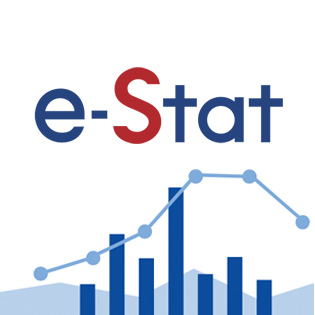 政府統計の総合窓口 e-Stat の公式OGP。国勢調査2025の詳細データ閲覧導線の参考画像。