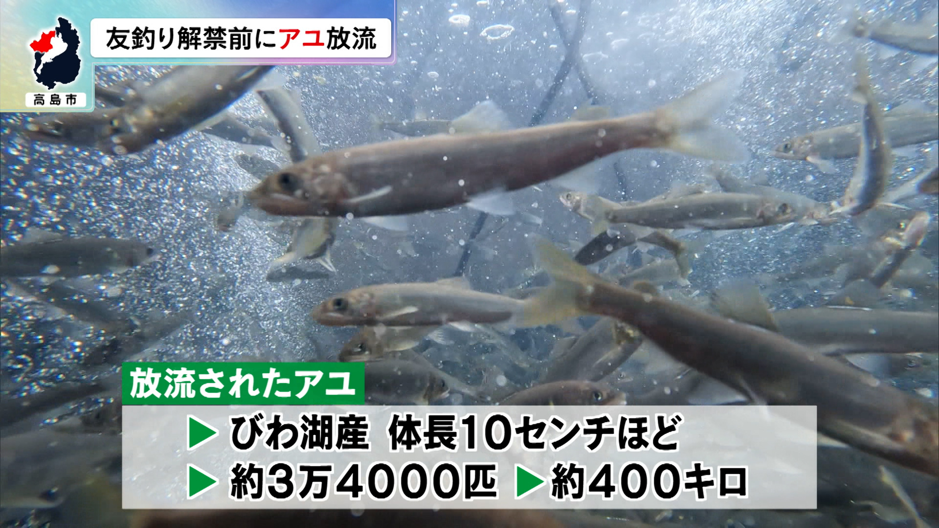 清流の河川と周辺の緑が映る報道写真。朽木エリアの河川環境を示すカット。