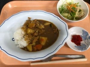 びわ湖こどもの国公式サイト内で掲出されている写真の一例（施設・活動の紹介用）。