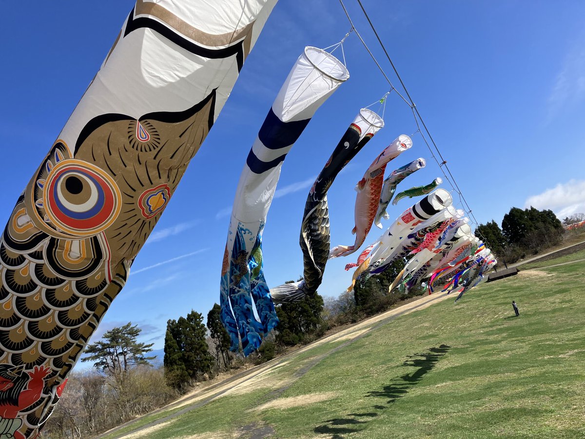 びわこ箱館山山頂に泳ぐ多数の鯉のぼり。琵琶湖を背景に風に揺れる様子のイメージ。