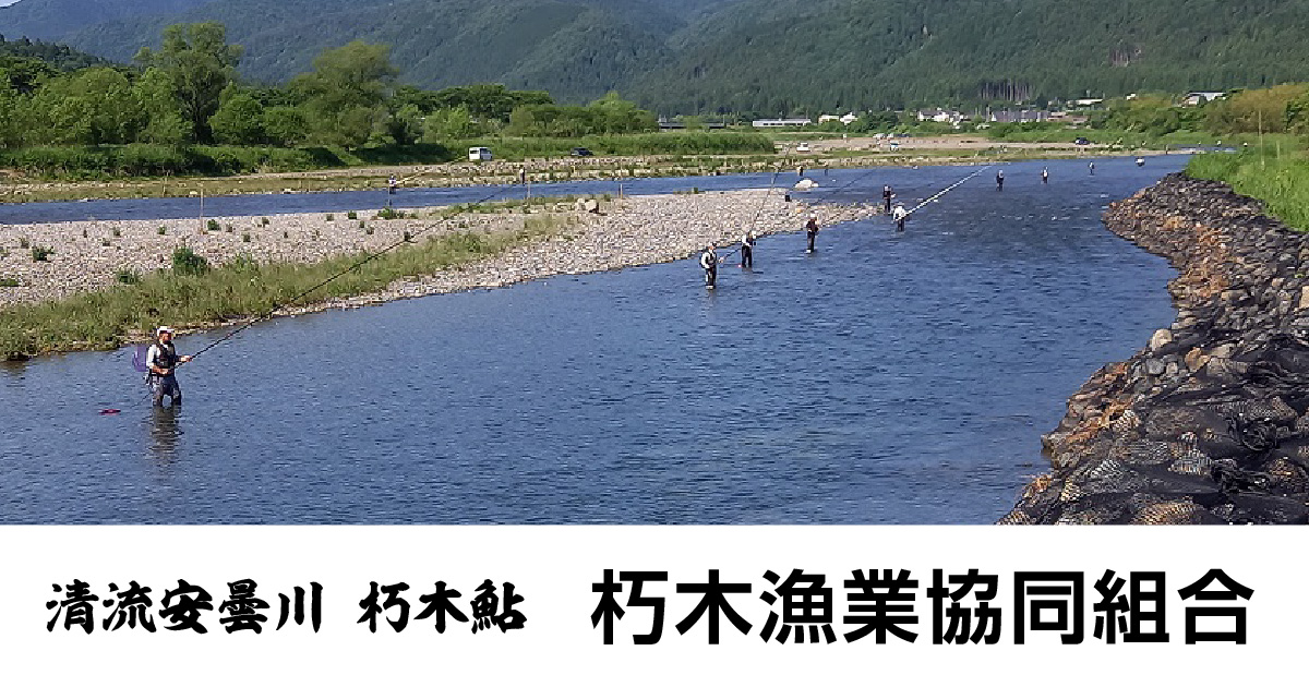 朽木漁業協同組合の公式サイトで用いられているOGP画像。清流とロゴを組み合わせた横長のバナー。