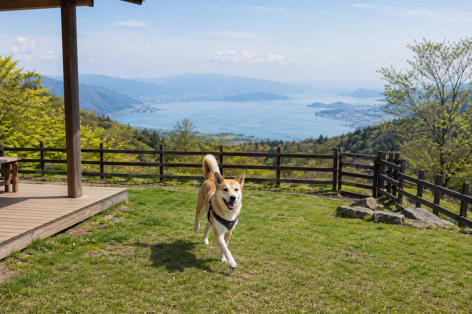 高原のドッグランで犬が遊ぶイメージ。琵琶湖方向の開放的な景色を想起させる構図。※AIにより生成した参考イメージです。