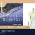 国道161号の公式路線紹介図。事故現場写真ではない