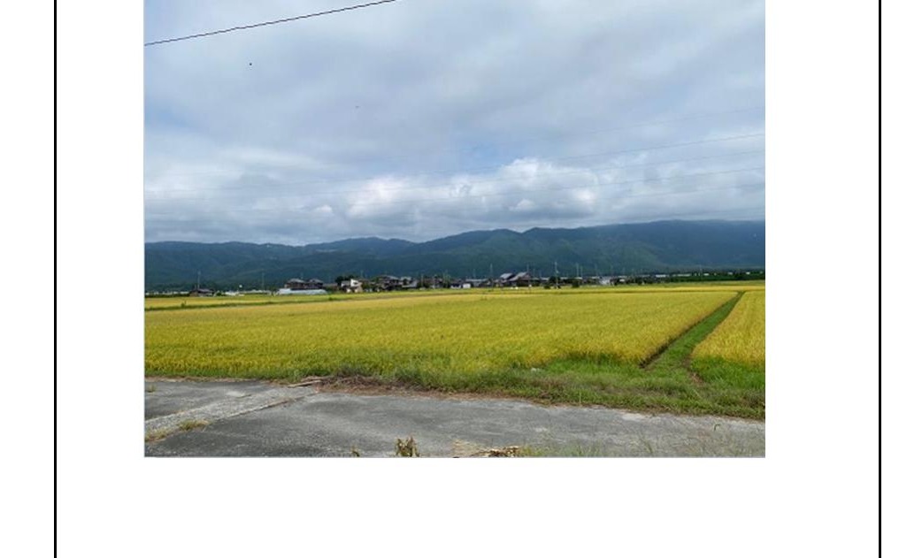 公売対象田の別角度の現況写真