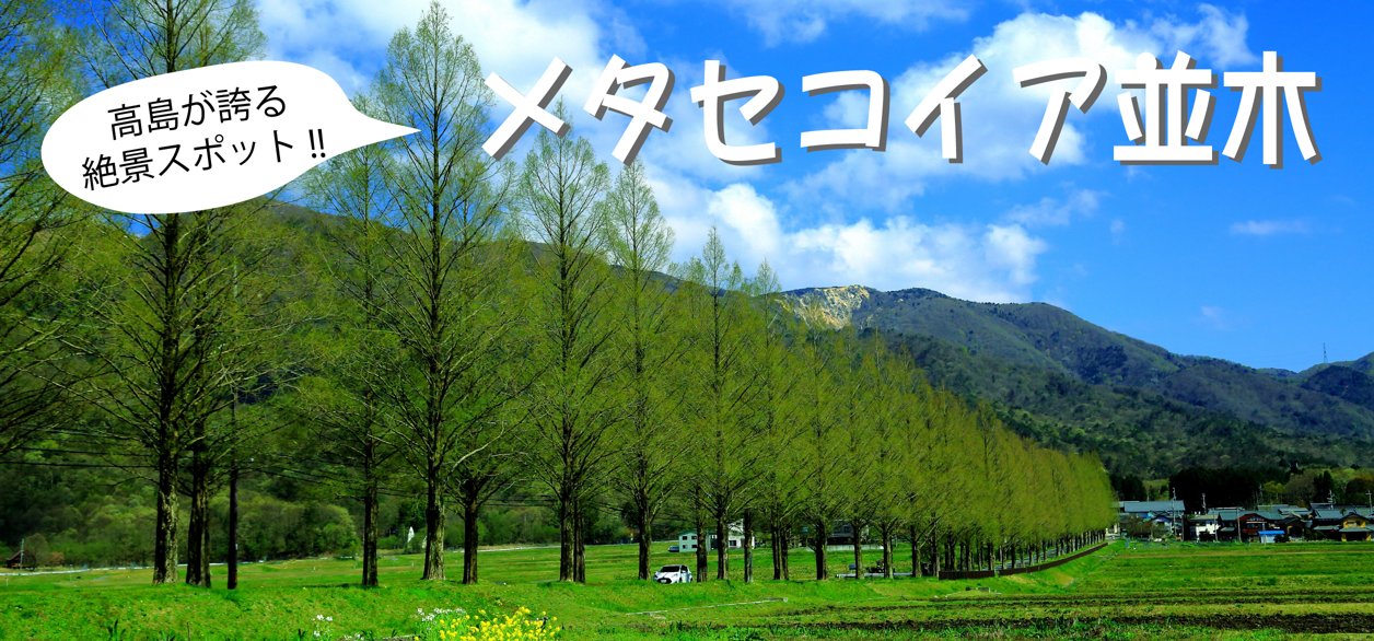 並木景観